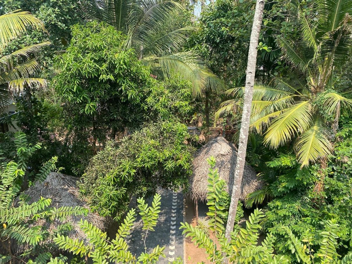 Tattwamasi Ayuryoga With Breakfast And Yoga Hotell Varkala Exteriör bild