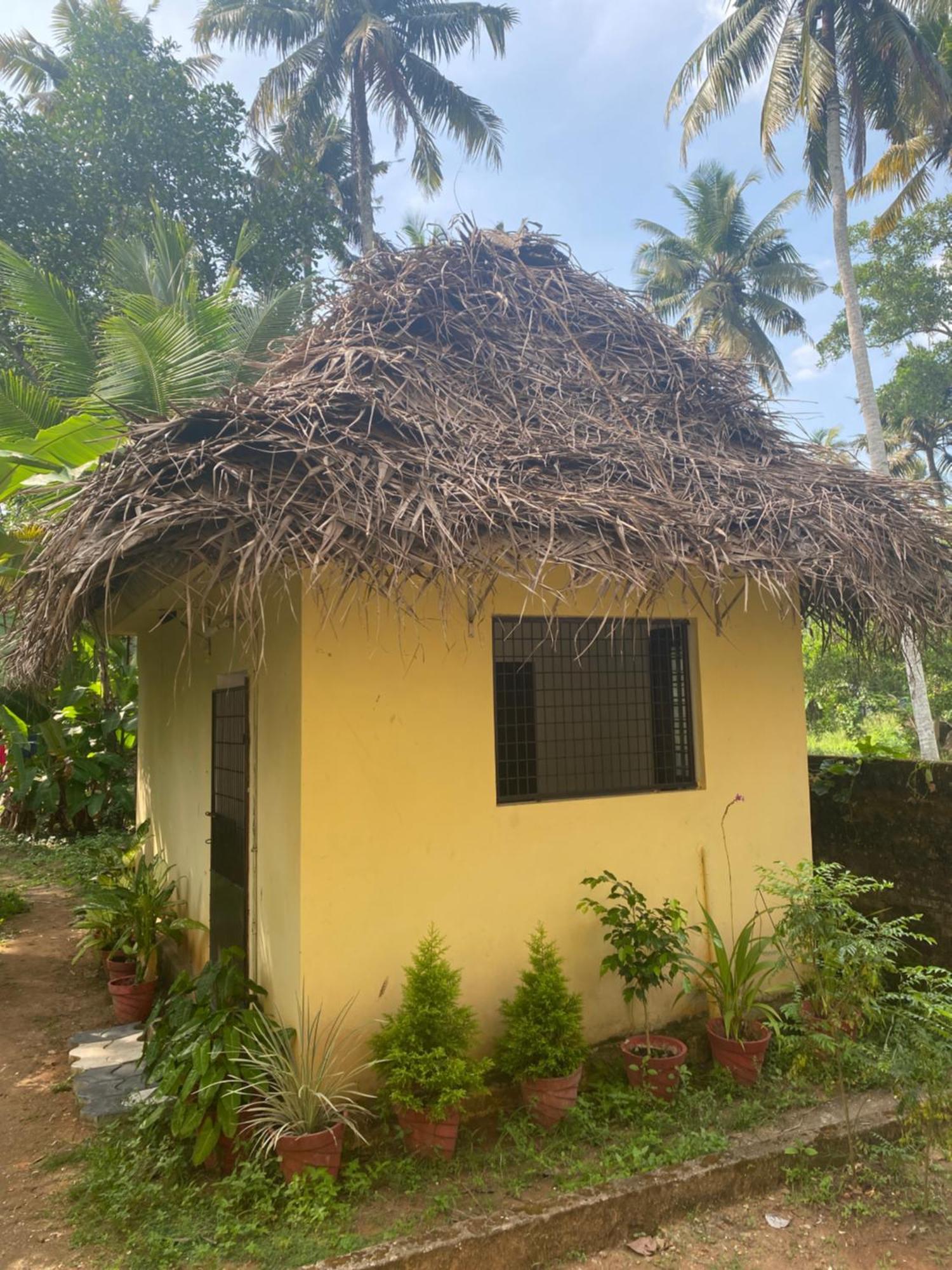 Tattwamasi Ayuryoga With Breakfast And Yoga Hotell Varkala Exteriör bild